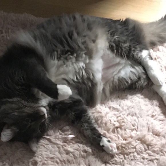 Meet your Posher, Tonya - Picture 1 of 1